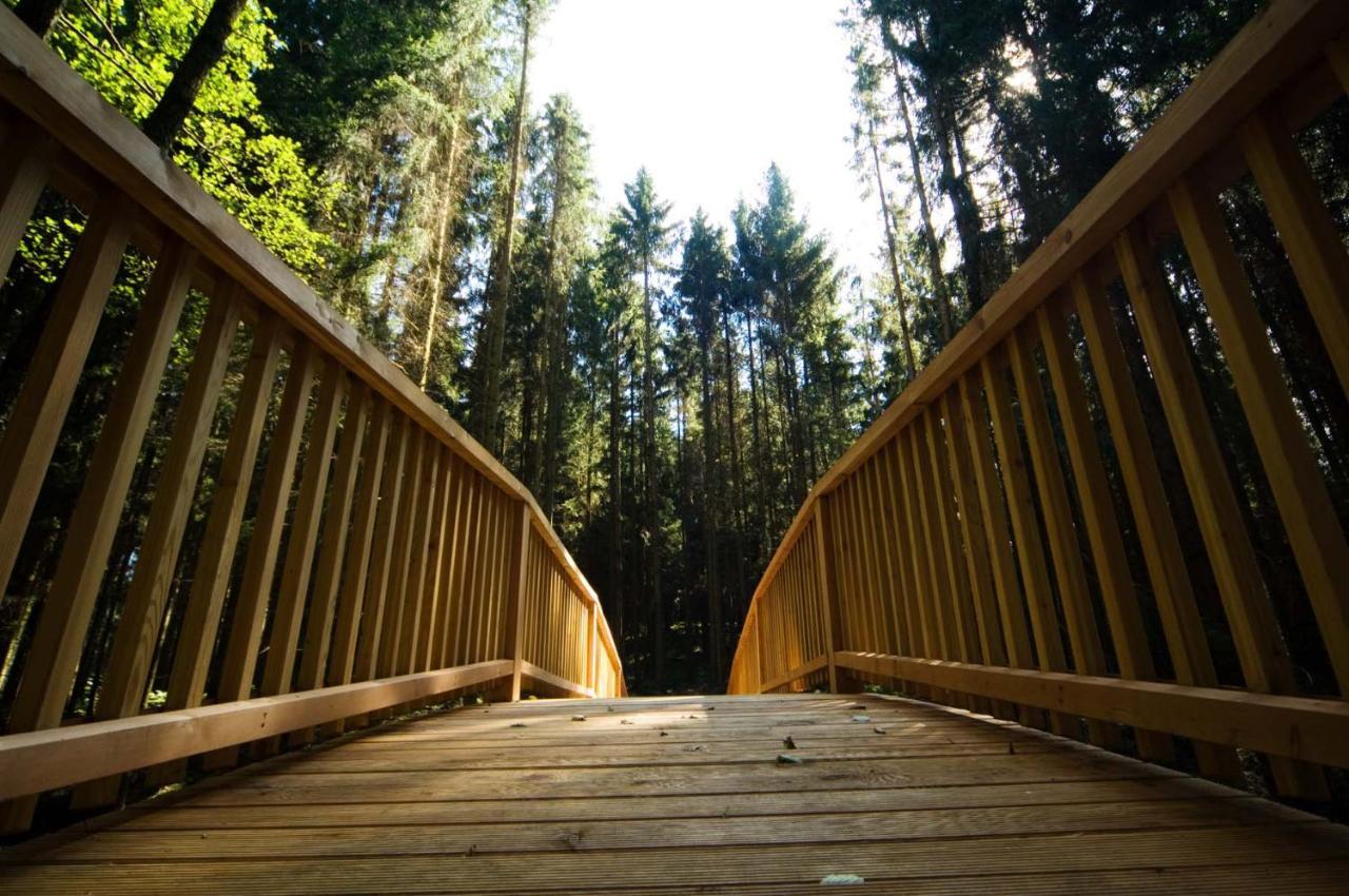 Forstgut - Premium Waldchalets Und Lodge Suiten Regen Luaran gambar