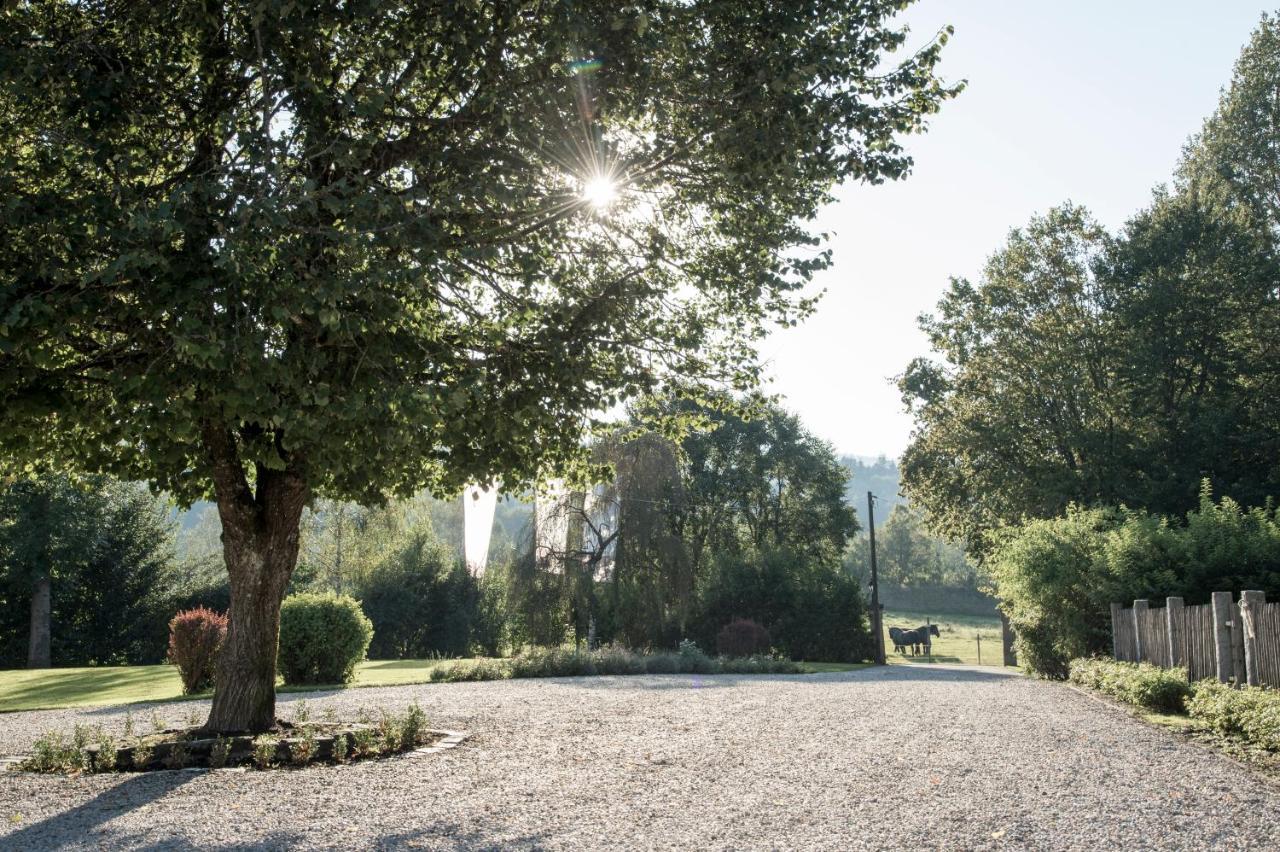 Forstgut - Premium Waldchalets Und Lodge Suiten Regen Luaran gambar