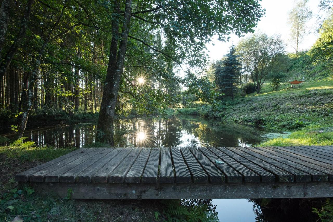 Forstgut - Premium Waldchalets Und Lodge Suiten Regen Luaran gambar