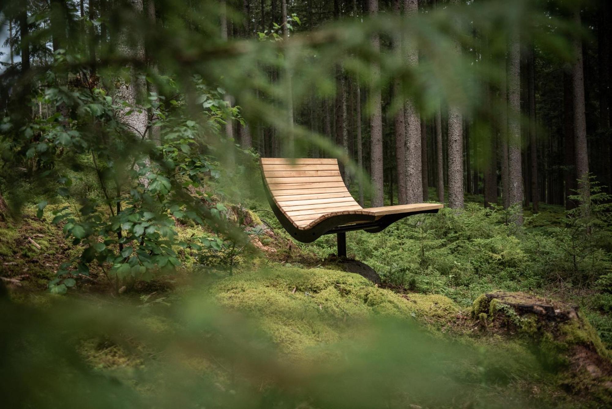 Forstgut - Premium Waldchalets Und Lodge Suiten Regen Luaran gambar